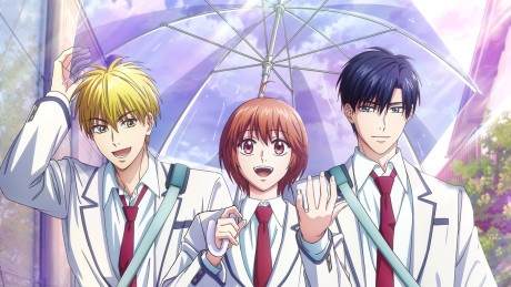 Hana-Kimi Season 2 Anime Release Date